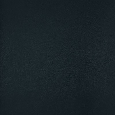 Kasmir TOP TIER         BLUEBERRY       